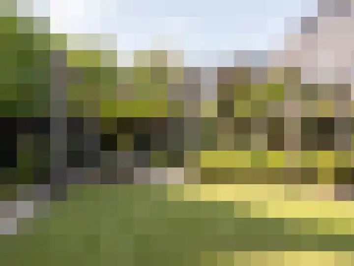 Xylofoonlaan 3 Eindhoven thumbnail 40