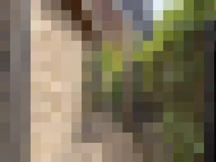 Xylofoonlaan 3 Eindhoven thumbnail 43