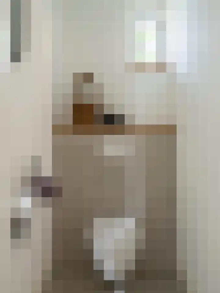 Xylofoonlaan 3 Eindhoven thumbnail 7