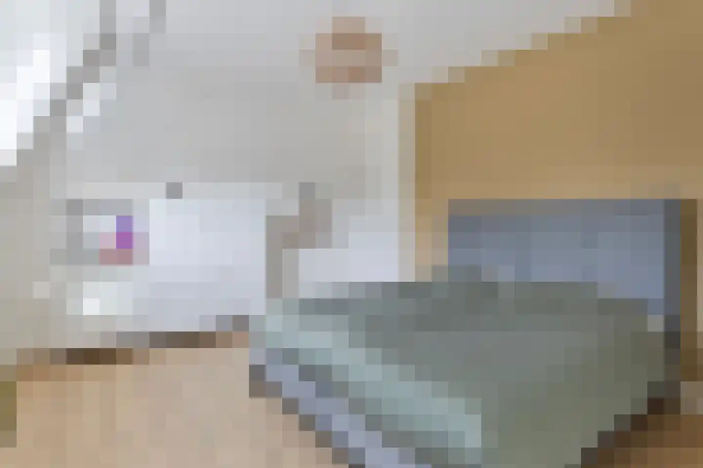 Xylofoonlaan 6 Eindhoven thumbnail 25