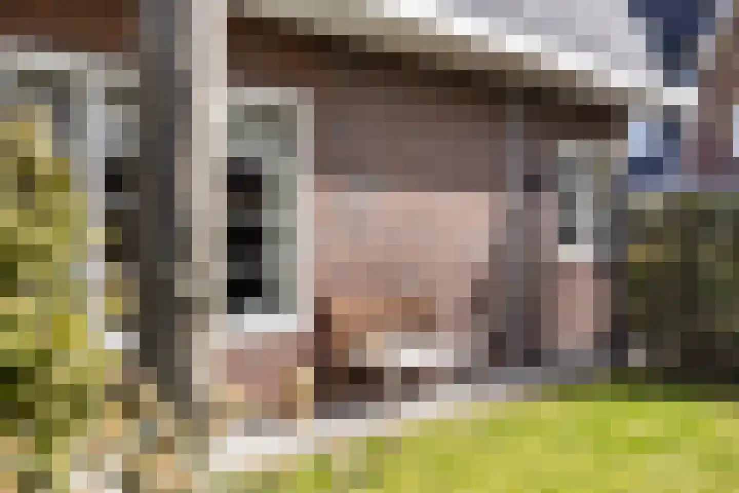 Xylofoonlaan 6 Eindhoven thumbnail 47