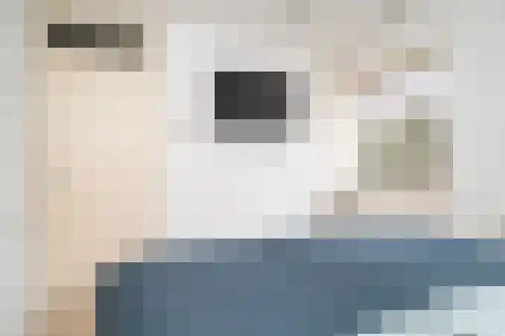 Xylofoonpad 7 Nijmegen thumbnail 27