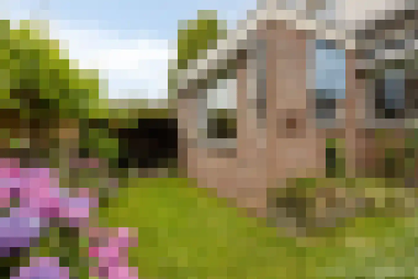 Yde B Yntemastrjitte 10 Hemelum thumbnail 28