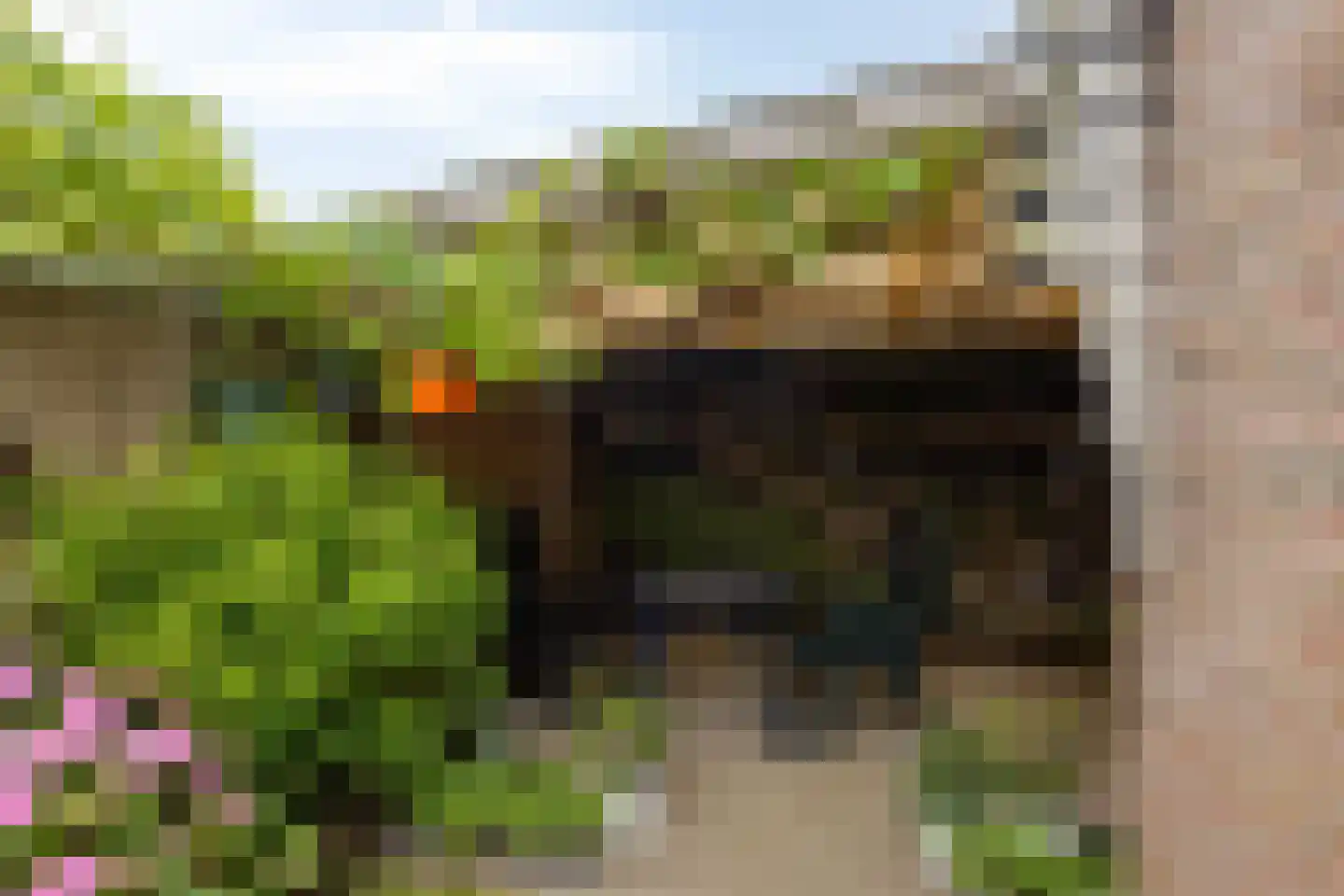 Yde B Yntemastrjitte 10 Hemelum thumbnail 29