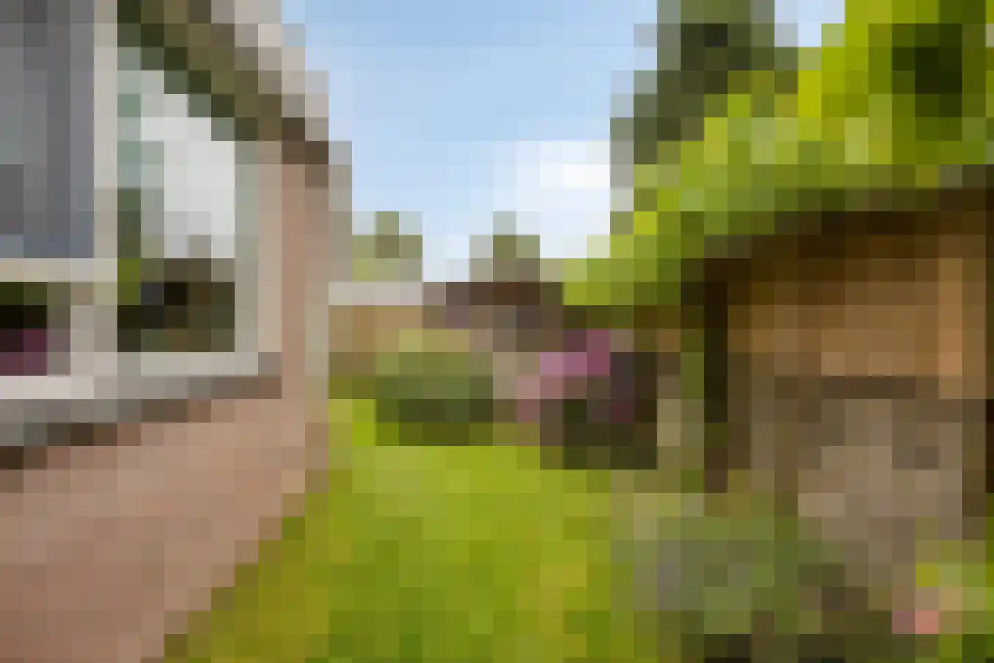 Yde B Yntemastrjitte 10 Hemelum thumbnail 5