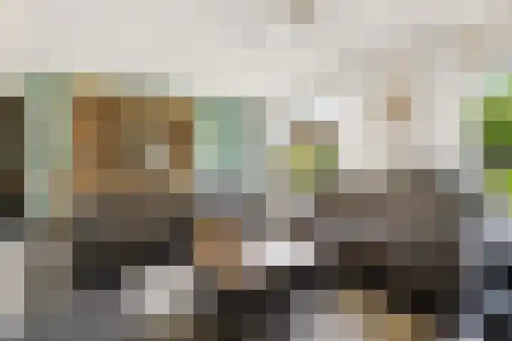 Ydinkerf 7 Eerbeek thumbnail 10