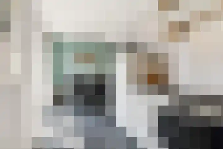 Ydinkerf 7 Eerbeek thumbnail 17