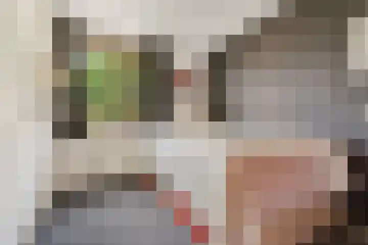 Ydinkerf 7 Eerbeek thumbnail 25