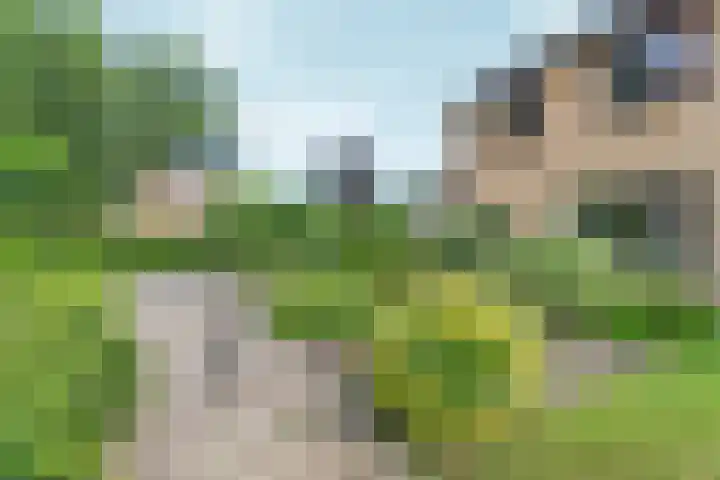 Ydinkerf 7 Eerbeek foto 3