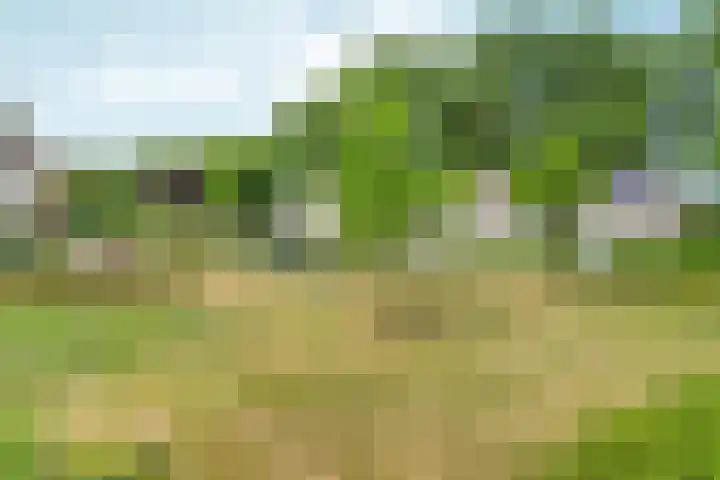 Ydinkerf 7 Eerbeek thumbnail 33