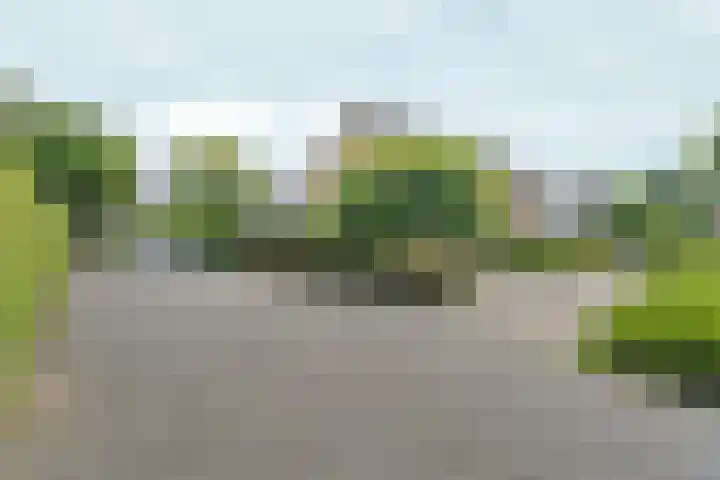 Ydinkerf 7 Eerbeek thumbnail 36