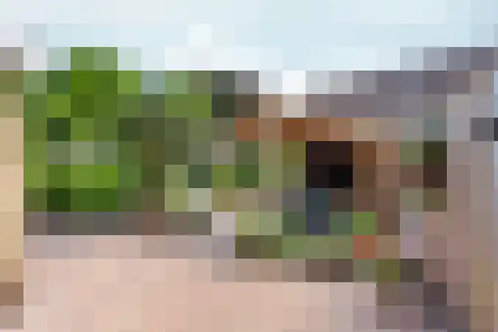 Ydinkerf 7 Eerbeek thumbnail 4