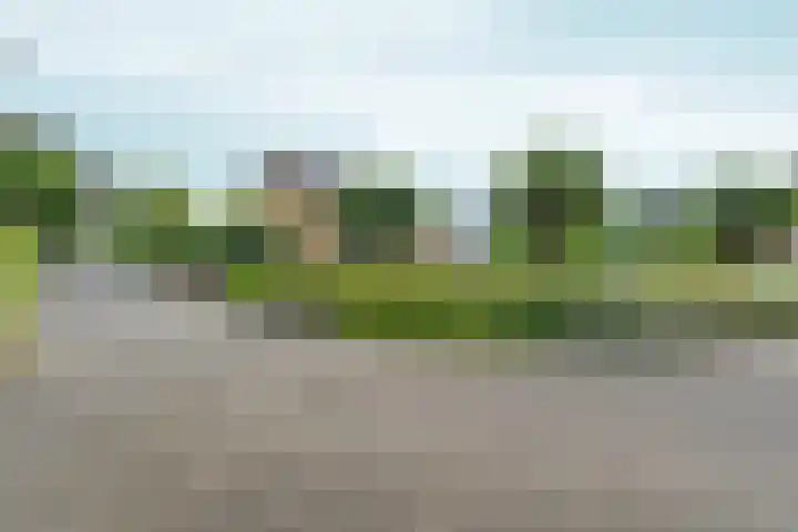 Ydinkerf 7 Eerbeek thumbnail 45