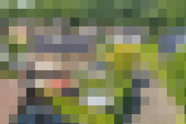 Ydinkerf 7 Eerbeek thumbnail 5