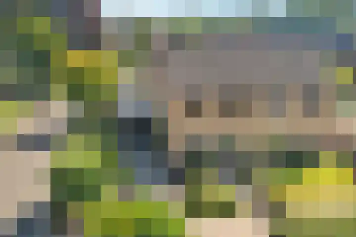 Ydinkerf 7 Eerbeek thumbnail 50