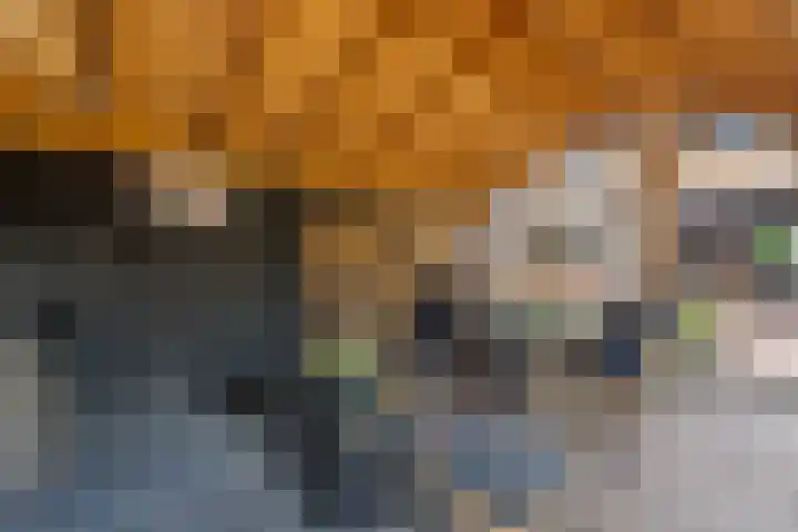 Ydinkerf 7 Eerbeek thumbnail 6