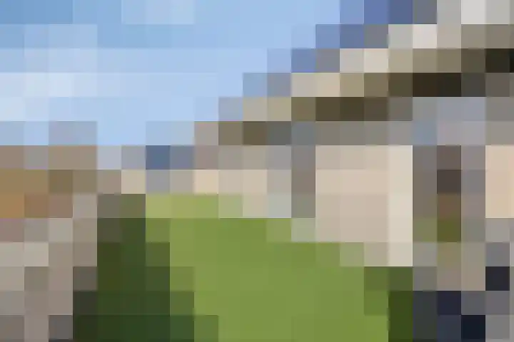 Yellowstone 22 Purmerend thumbnail 38