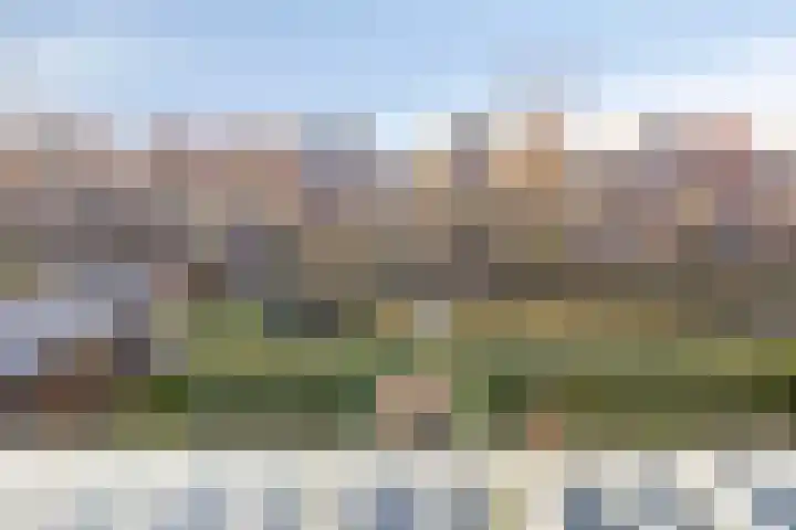 Yellowstone 22 Purmerend thumbnail 39