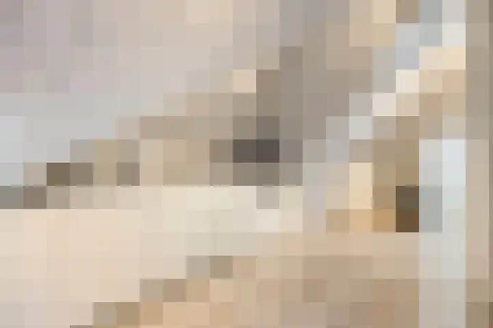 Yellowstone 22 Purmerend thumbnail 42