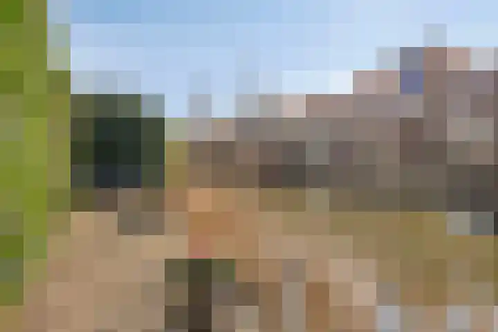 Yellowstone 22 Purmerend thumbnail 60