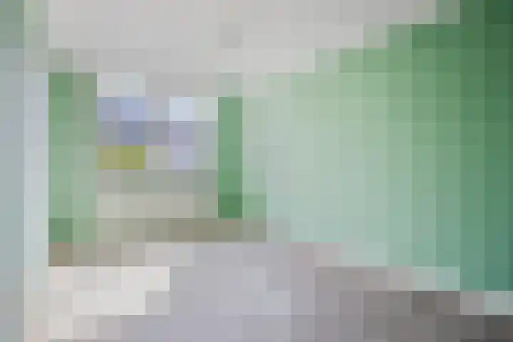 Yersekeroord 10 Bergen op Zoom thumbnail 19