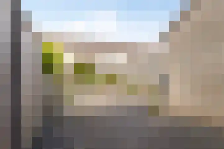 Yersekeroord 10 Bergen op Zoom thumbnail 32
