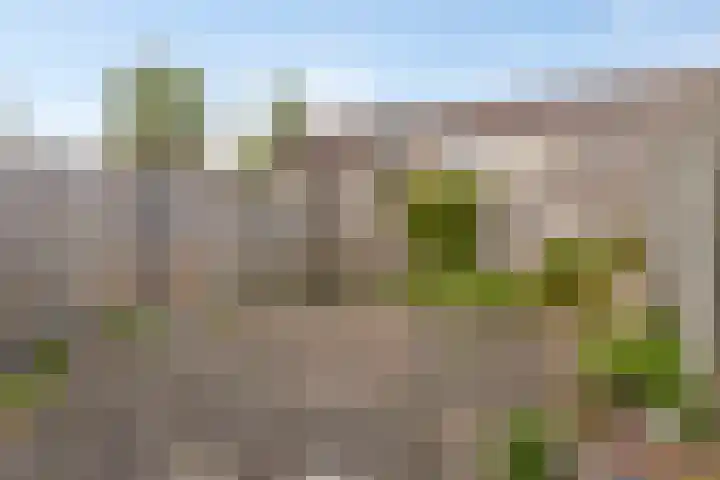 Yersekeroord 10 Bergen op Zoom thumbnail 34