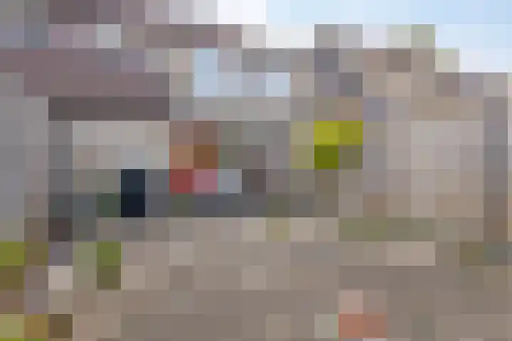 Yersekeroord 10 Bergen op Zoom thumbnail 35