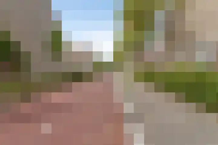 Yersekeroord 10 Bergen op Zoom thumbnail 37