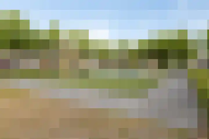 Yersekeroord 10 Bergen op Zoom thumbnail 38