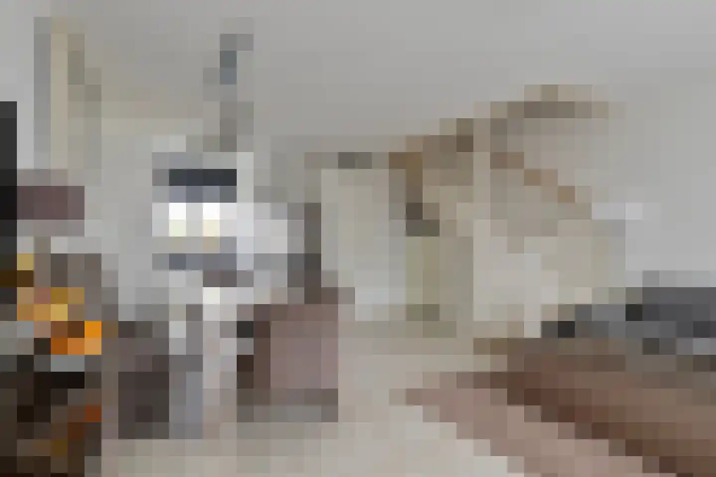 Yersekestraat 44 Rotterdam thumbnail 4