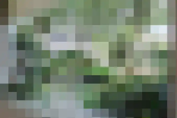 Ylostinslaan 44 IJlst thumbnail 13