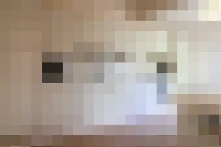 Ylostinslaan 44 IJlst thumbnail 20
