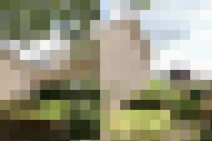 Ylostinslaan 44 IJlst foto 3