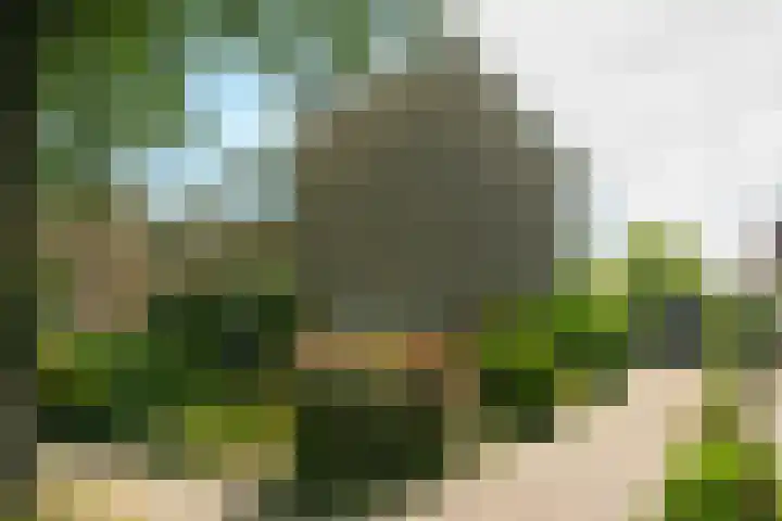 Ylostinslaan 44 IJlst thumbnail 4