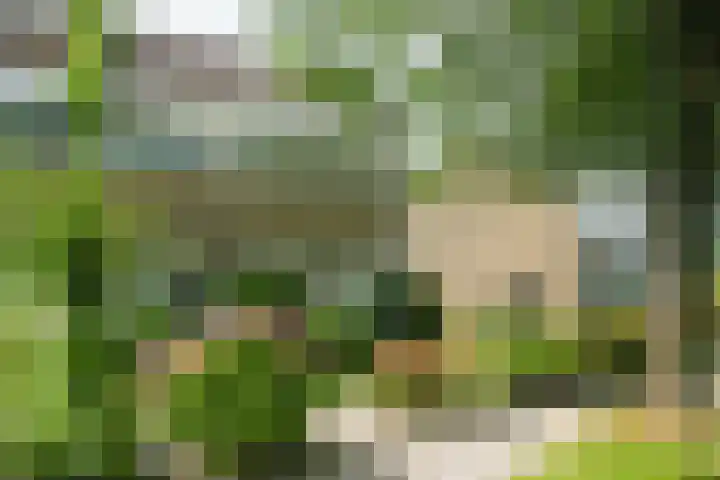 Ylostinslaan 44 IJlst thumbnail 5