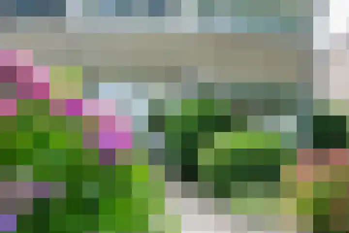 Ylostinslaan 44 IJlst thumbnail 6