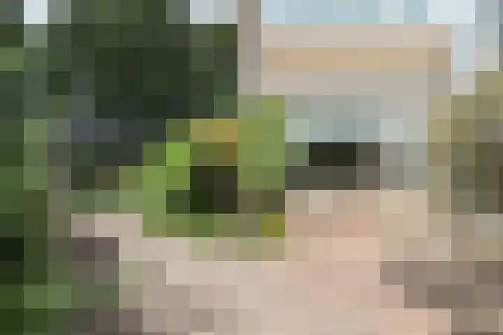 Ylostinslaan 44 IJlst thumbnail 60