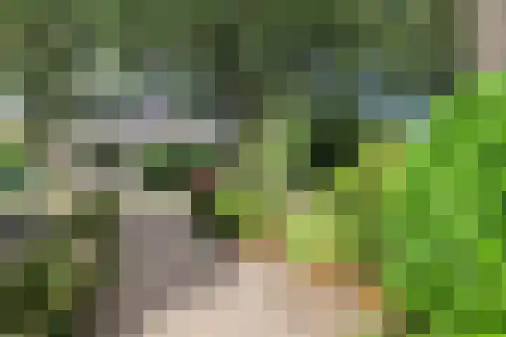 Ylostinslaan 44 IJlst thumbnail 61