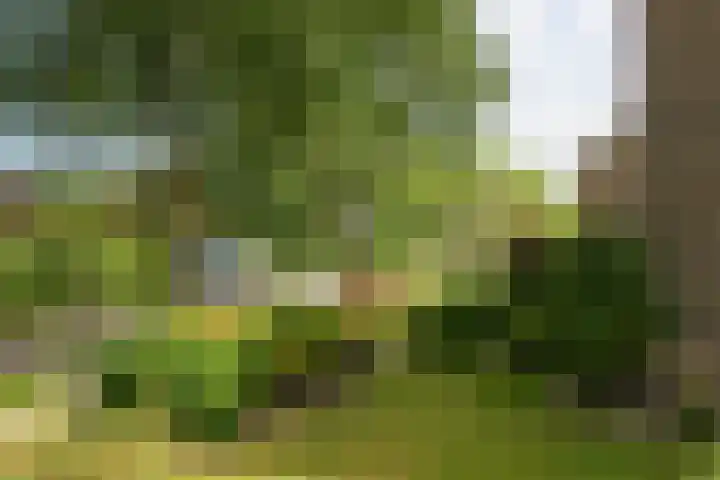 Ylostinslaan 44 IJlst thumbnail 62