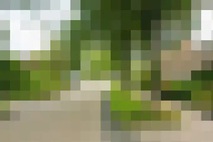 Ylostinslaan 44 IJlst thumbnail 63