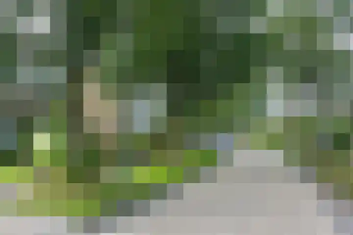 Ylostinslaan 44 IJlst thumbnail 64