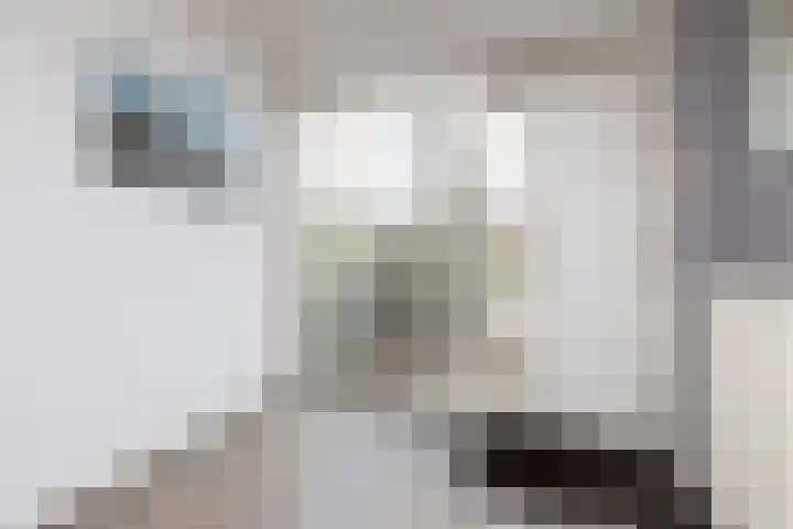Ylostinslaan 50 IJlst thumbnail 15