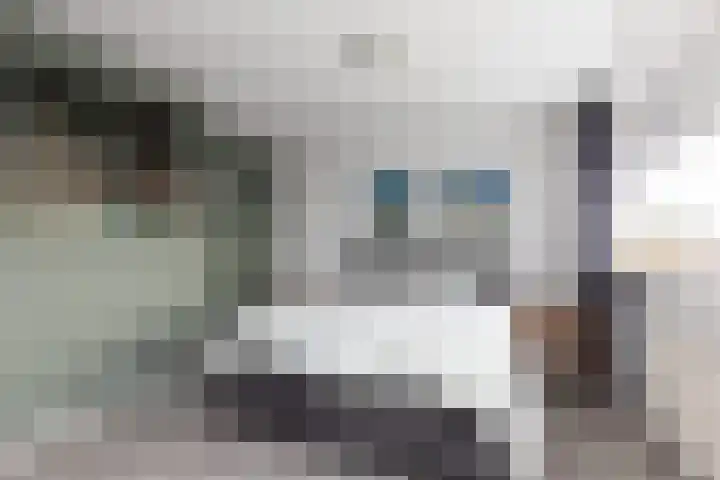 Ylostinslaan 50 IJlst thumbnail 25