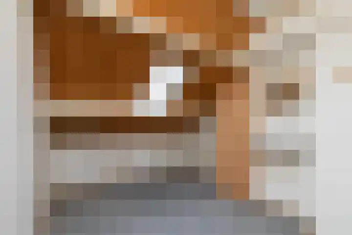 Ylostinslaan 50 IJlst thumbnail 30