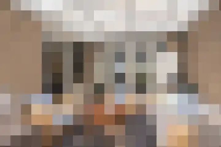 Ylostinslaan 50 IJlst thumbnail 31