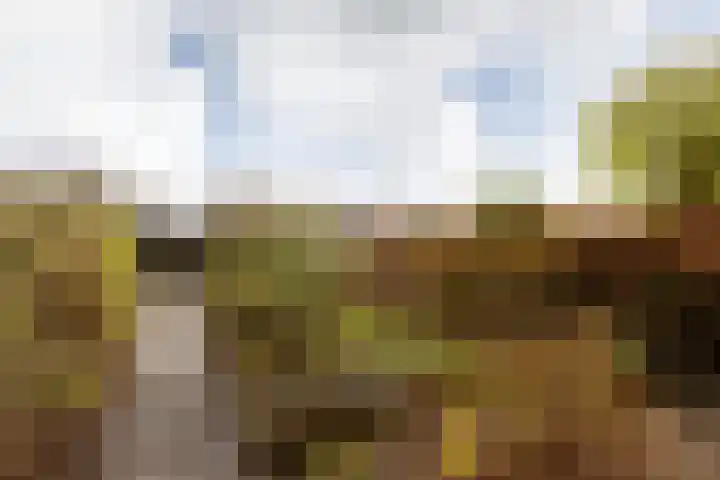Ylostinslaan 50 IJlst thumbnail 34