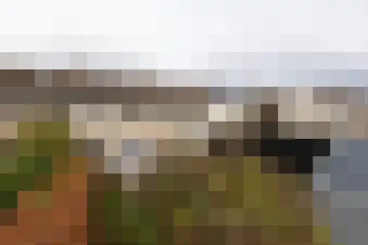 Ylostinslaan 50 IJlst thumbnail 39