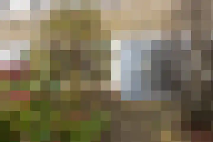 Ylostinslaan 50 IJlst thumbnail 40