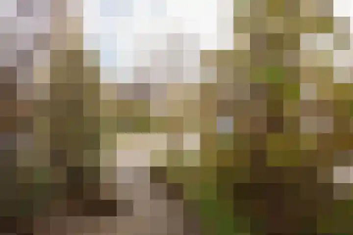 Ylostinslaan 50 IJlst thumbnail 41